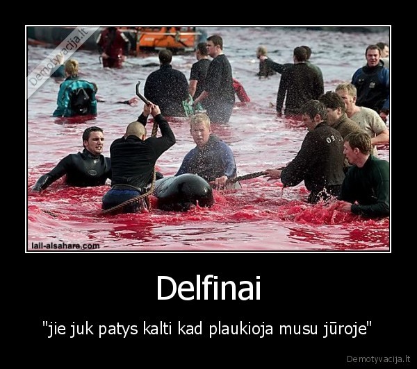 Delfinai