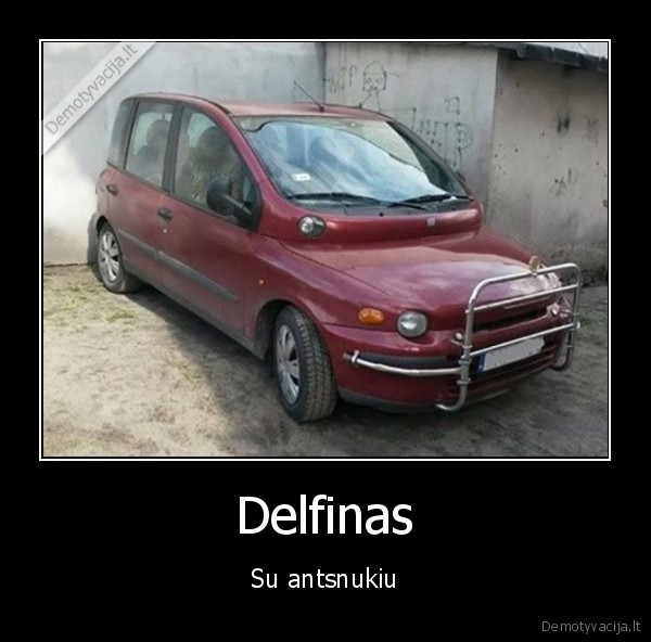 multipla,delfinas,baisus