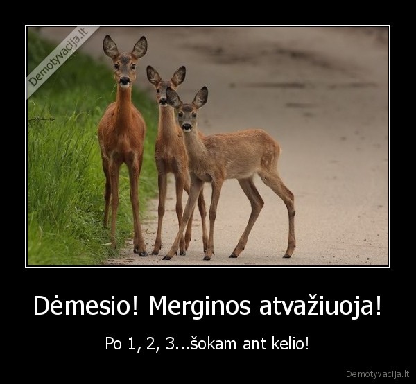 Dėmesio! Merginos atvažiuoja!