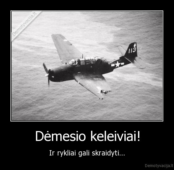 lektuvas, ryklys, rykliai, skraidymas