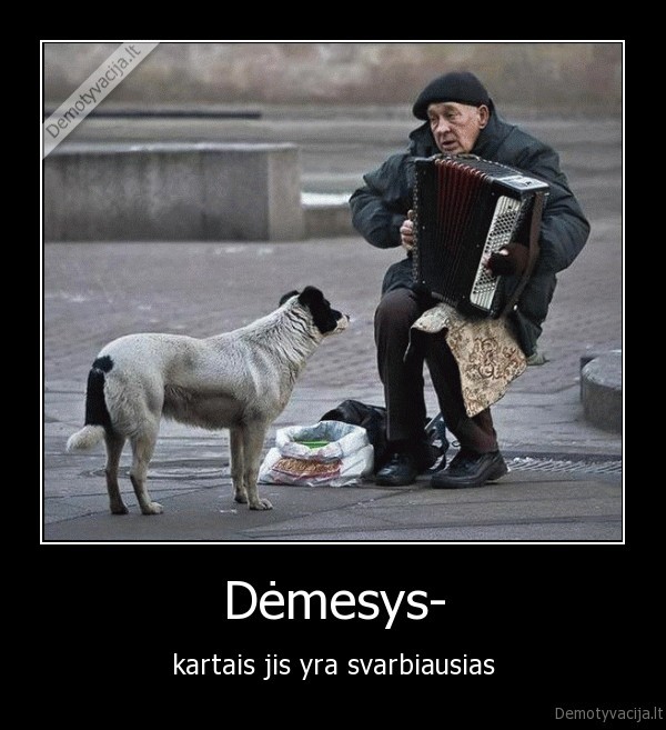 demesys,svarbiausias,reikia, demesio,neriekia, demesio