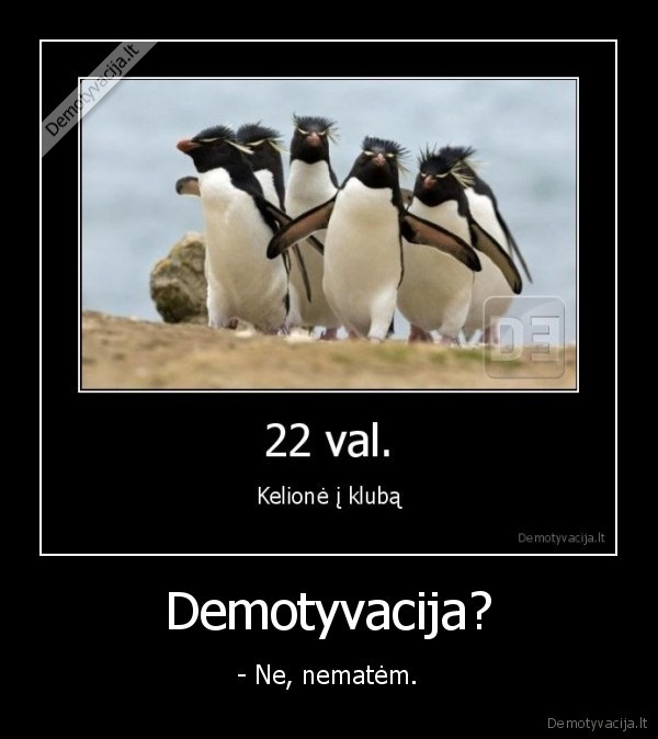 tvirtina, beleka