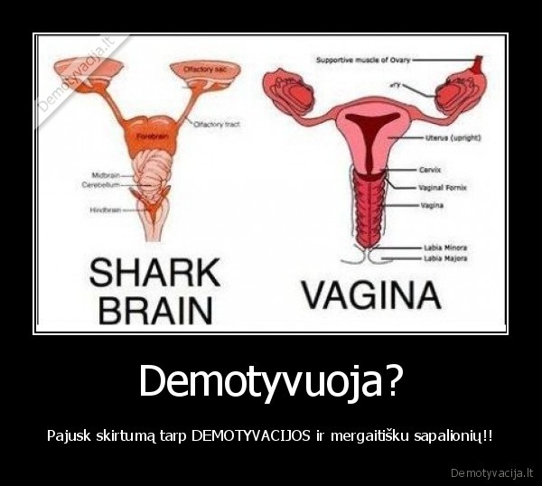 Demotyvuoja?