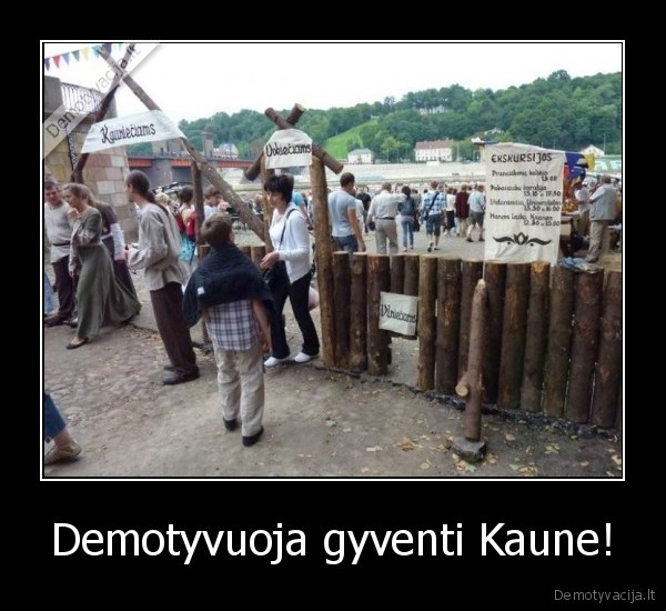 zalgiris, kaunas, vilnius, demotyvacija