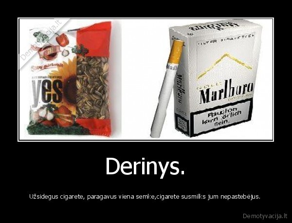 semkes,cigarai