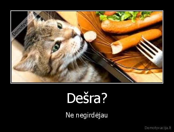 desra,negirdejau,katinas