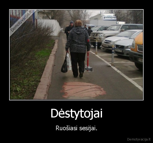kirviai,zudys,sesija