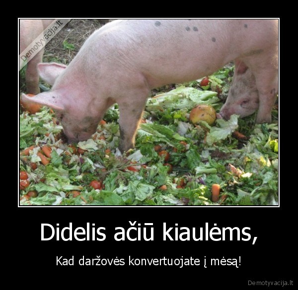 maistas,kiaule,darzoves,mesa,konvertuoti,aciu