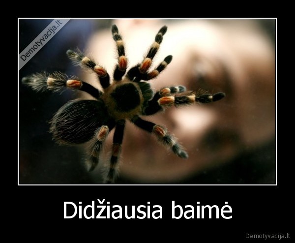 Didžiausia baimė
