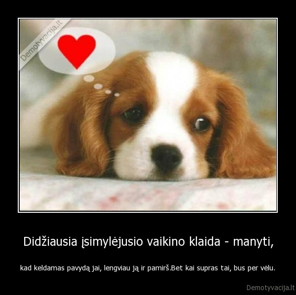 Didžiausia įsimylėjusio vaikino klaida - manyti,