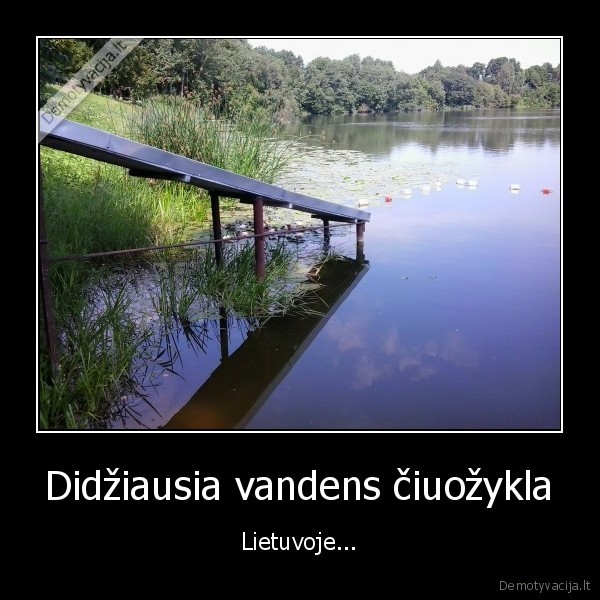 ciuozykla,vasara