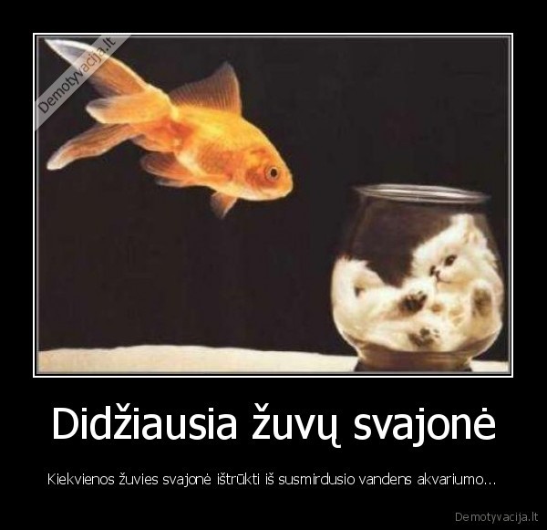 Didžiausia žuvų svajonė