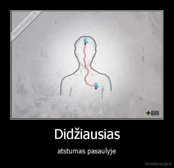 sirdis,smegenys