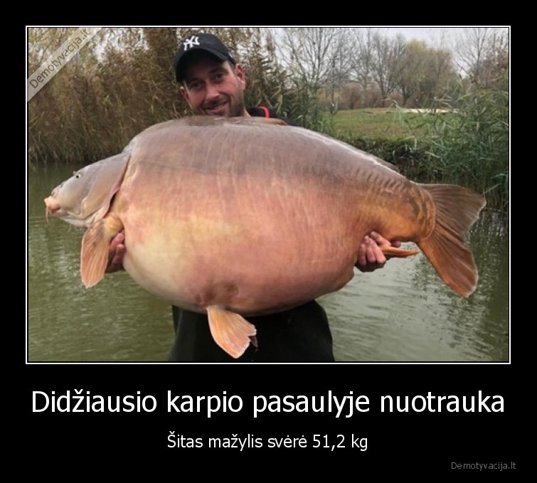 karpis,zuvis,didziausias,svoris