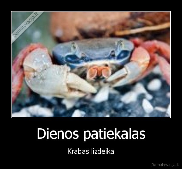 krabas, y, puoda