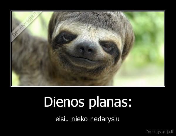 planas,diena