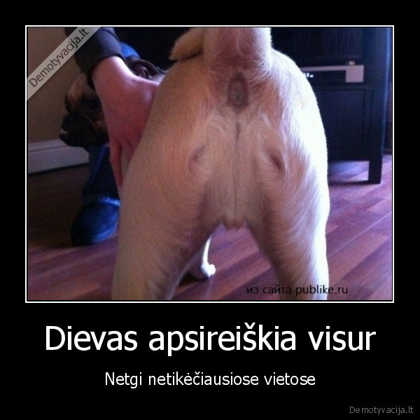 subineje, dievas, gyvena