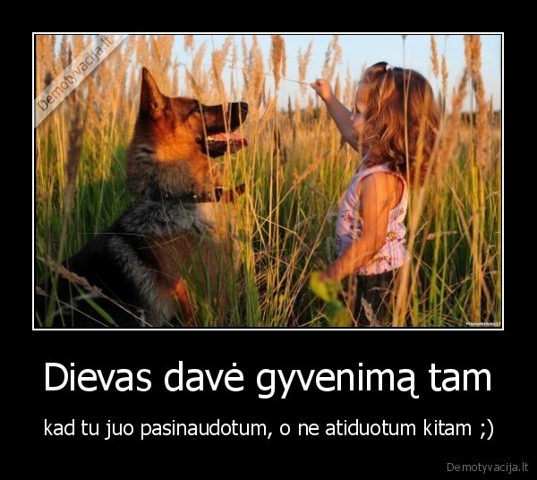 gyvenimas