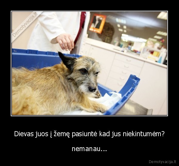 klijai,snerves,dievas,gyvenimas,kubilius