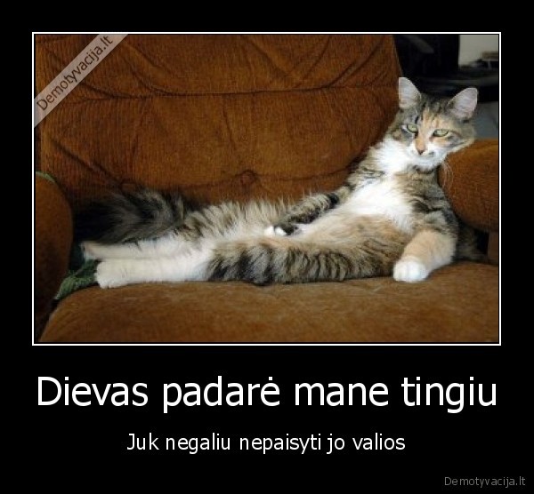 tinginys,dievas,kate