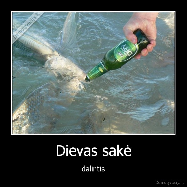 zuvis,alus