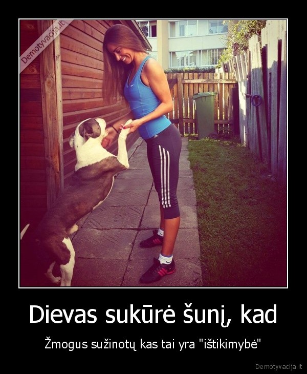 istikimas, suo,istikimybe,dievo, kurinys