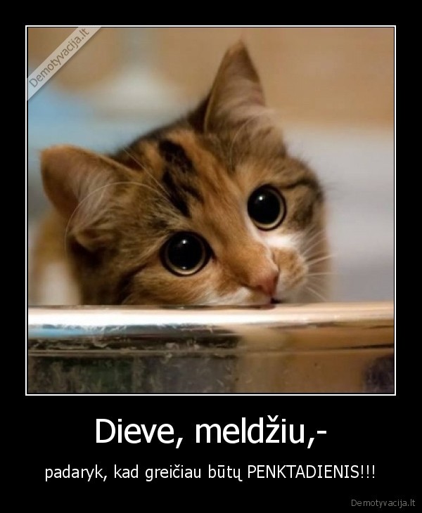 dfhgdf