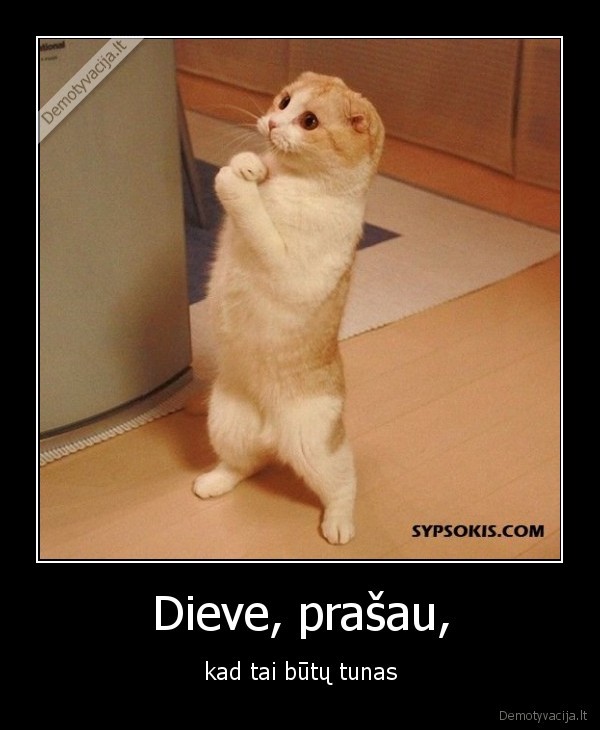 Dieve, prašau,
