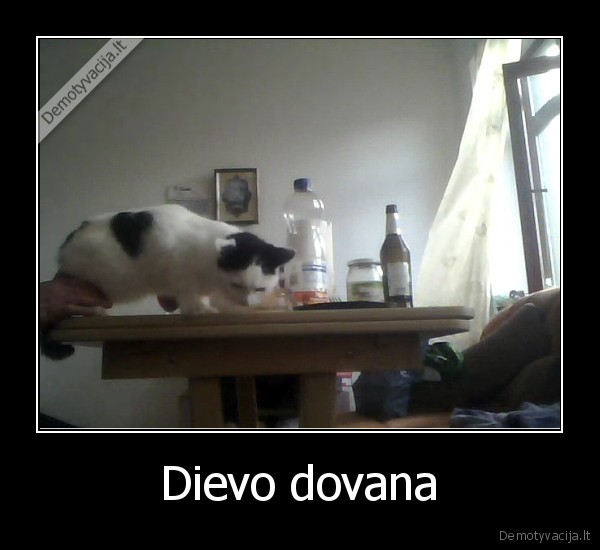 dovana