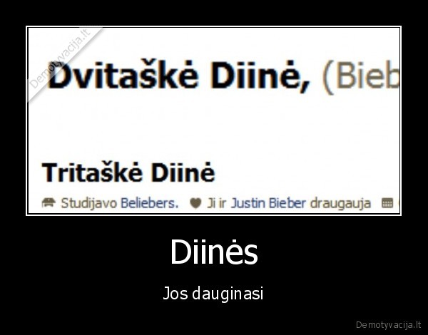belieberes, simtataske, diine