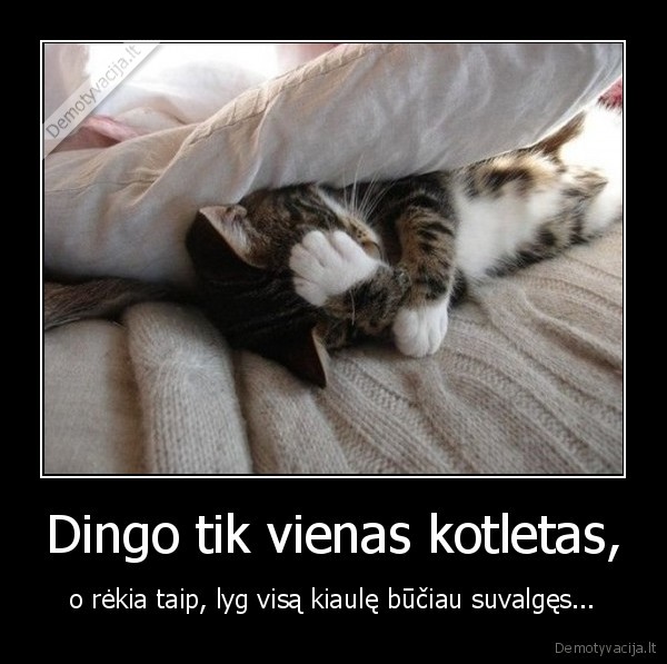 Dingo tik vienas kotletas,
