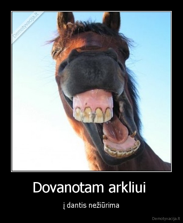 Dovanotam arkliui 