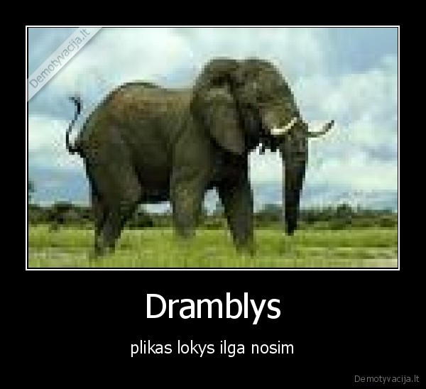 Dramblys