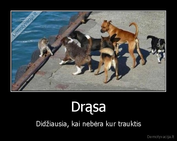 Drąsa