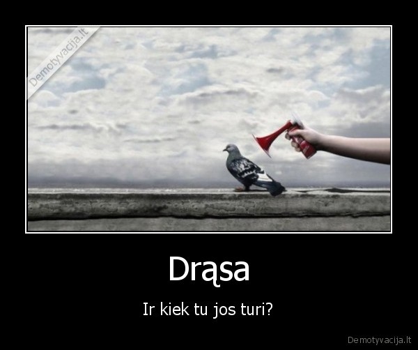 drasa,paukstukas