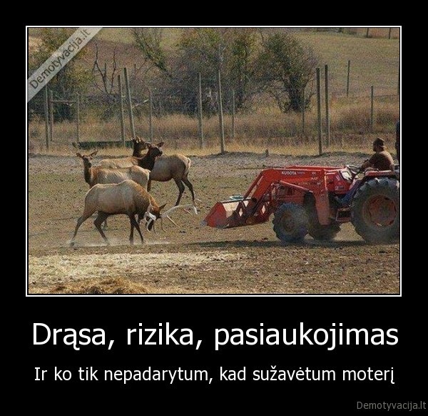 briedis,briedziai