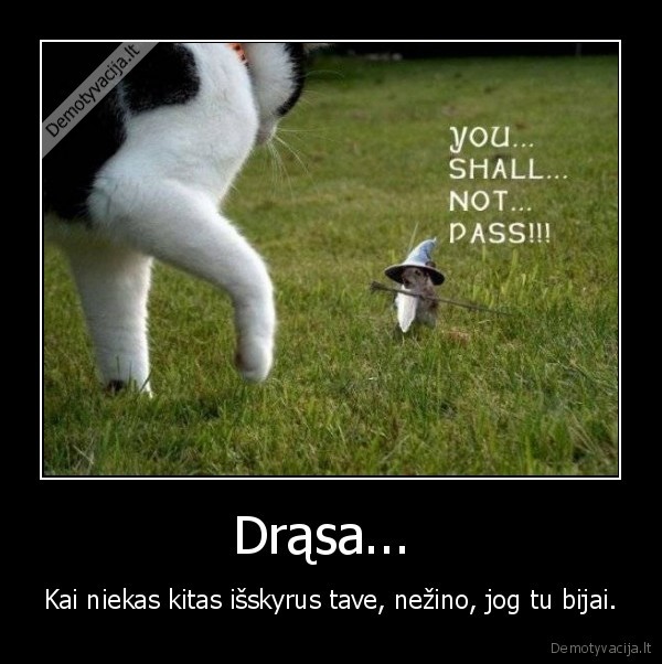 Drąsa... 