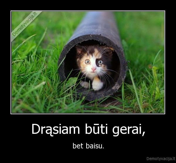 drasa,baime