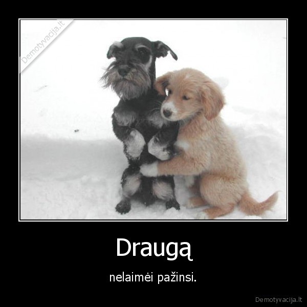Draugą