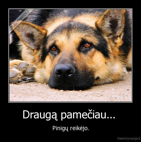 draugai