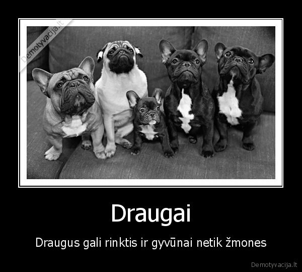 Draugai