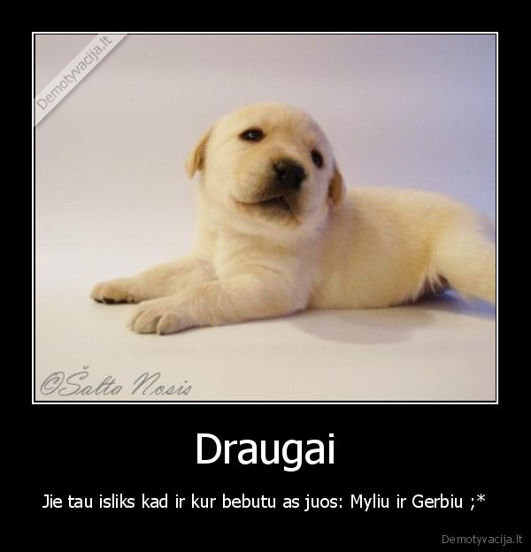 Draugai