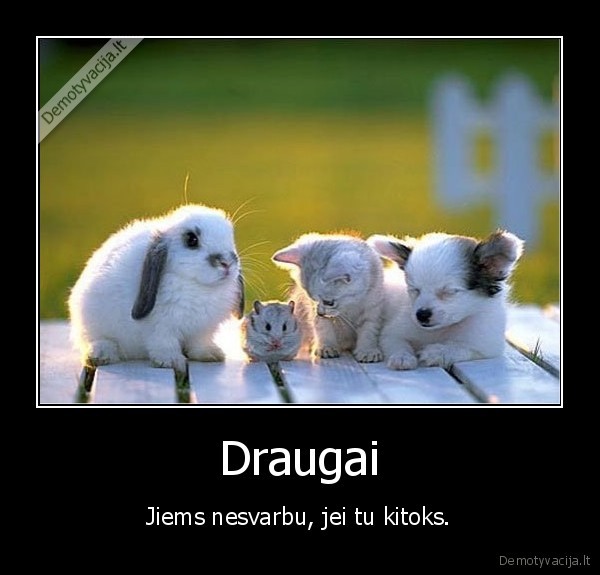 Draugai