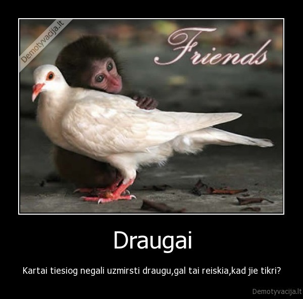 Draugai
