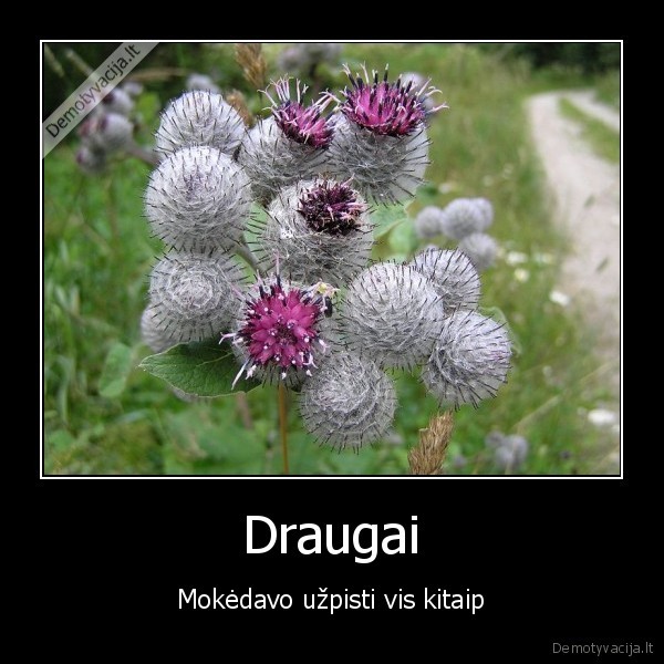 Draugai