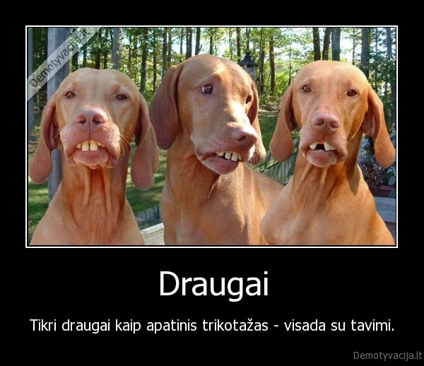 Draugai