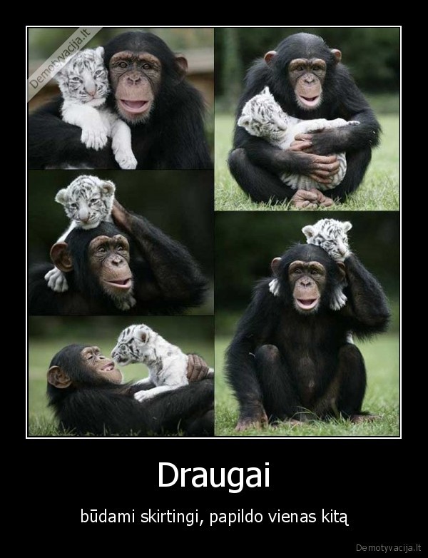 Draugai