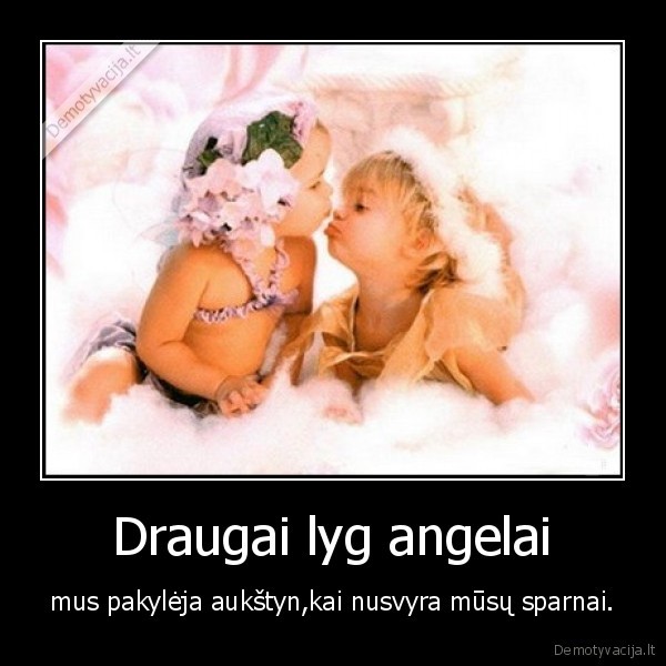 Draugai lyg angelai