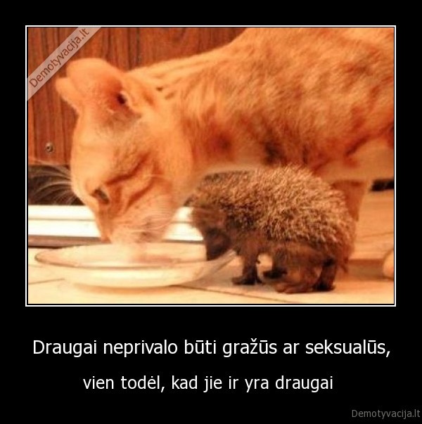 draugai