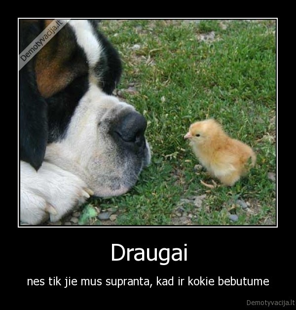 Draugai